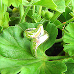 Calla (Ring)