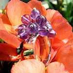 Akelei (Ring)