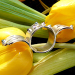 Fuchsie (Ring)